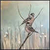 Sparrows’ Keep