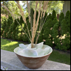 Prairie Grass Home II