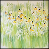 Flowers and Grass