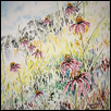 Purple Cone Flowers 2024