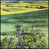 Konza: Sun and Shadows