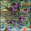 Coneflowers and Grass