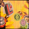 Bloom