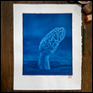 Kansas Morel #3 - Cyanotype