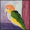 Happy Parrot