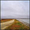 Waiting for the Sandhill Cranes to Arrive