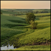 On the Flint Hills Scenic Byway #5