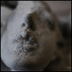 Weeping Angel