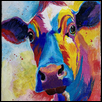 Curious Cow in Color