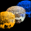 Three Hog Night