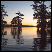 Sunset On The Bayou