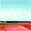 Flint Hills Alive