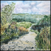 Walking the Trail
