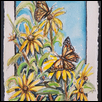 Butterflies and Black-Eyed Susans