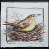 Carolina Wren