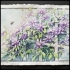 Clematis and Bumblebees