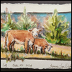 Cow and Calf