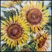 Sunflower Impressions