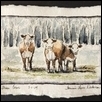 Three Cows