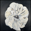 Moonlit Peony