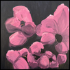 Nocturne in Rose