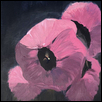 Nocturne in Blush