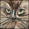 Cat Eyes