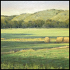 Hayfield and Flint Hills