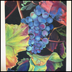 Grapes On The Vine