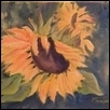 Single Sunflower
