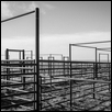 Convergent Corrals
