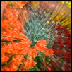 Outburst
