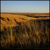Tallgrass Twilight