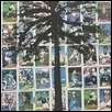 Tree of Baseball Cards
