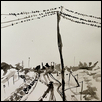 Birds over Railyard