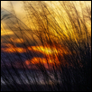 Bogue Sound Sunset