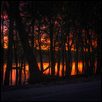 Rock River Sunrise
