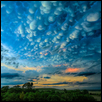 AFTER THE STORM -- Artist: Curtis Olinger Size: 22" x 29" Medium: Photography Price: $250.00