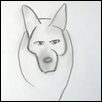 coyote 5