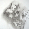 datura 1