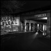 Super Flea