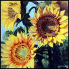 Grinter's Sunflower II