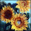 Grinter's Sunflowers I
