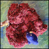Prairie felting  and weaving