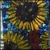 Sunflower Extravaganza
