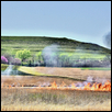 Essential Tallgrass Prairie in Spring