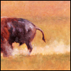 Bison Dusting