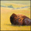 Guardian of the Tallgrass