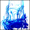 Blue Jelly Fish