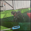 Sprinkler PAWty